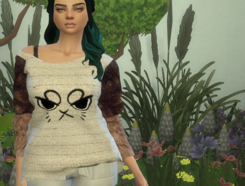 Crooked Top Recolour - mesh needed