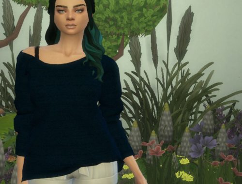 Crooked Top Recolour - mesh needed