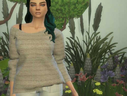 Crooked Top Recolour - mesh needed