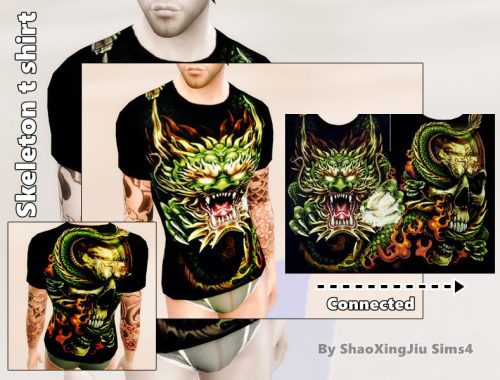 Skull Full Version T-Shirt 4 Colors