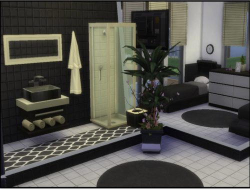 Black & White Modern