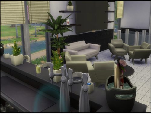 Black & White Modern