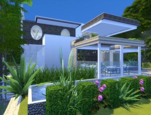 Modern Salix