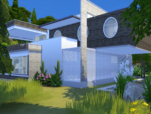 Modern Salix