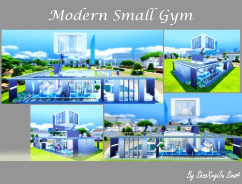 Modern Small Gym