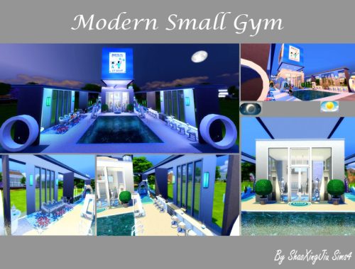 Modern Small Gym