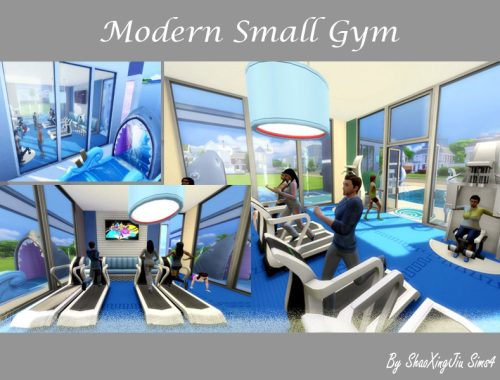 Modern Small Gym