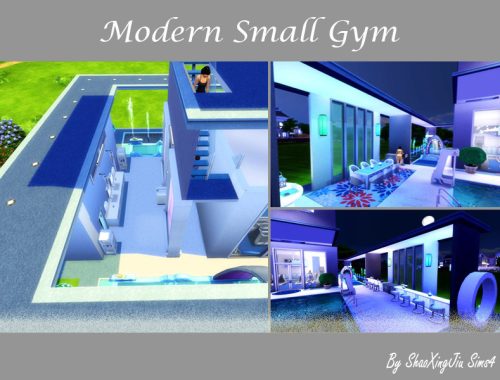 Modern Small Gym