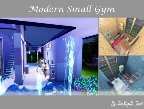 Modern Small Gym