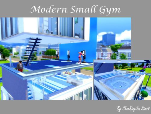 Modern Small Gym