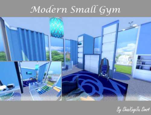 Modern Small Gym