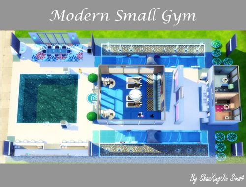 Modern Small Gym