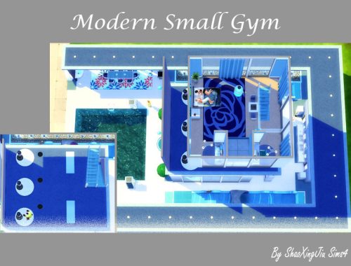 Modern Small Gym
