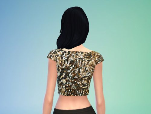 Sequin Crop Top