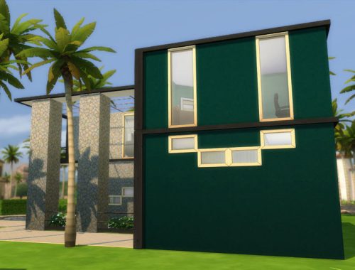 Spring Palms