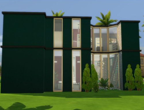 Spring Palms