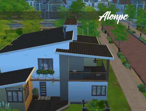 Contemporary & Natural