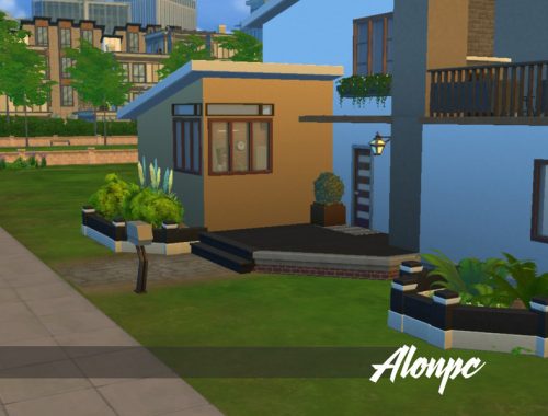 Contemporary & Natural