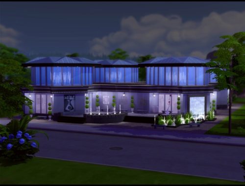 Museum of Sim Art
