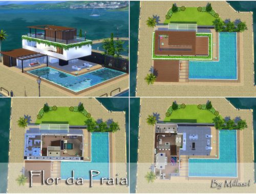 Flor da Praia