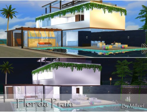 Flor da Praia