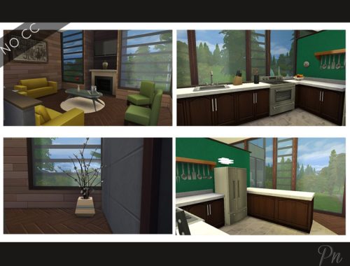 Rustic Modern Cabin