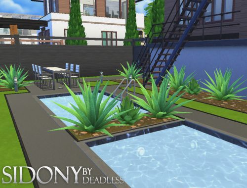 Sidony
