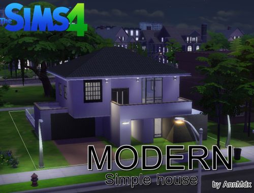 Modern Simple House