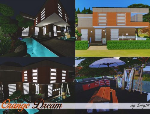 Orange Dream