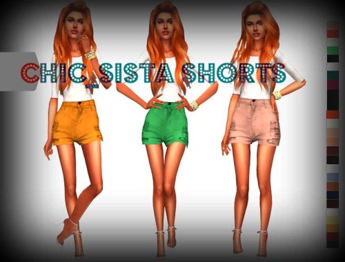 Chic_Sista Shorts - mesh needed