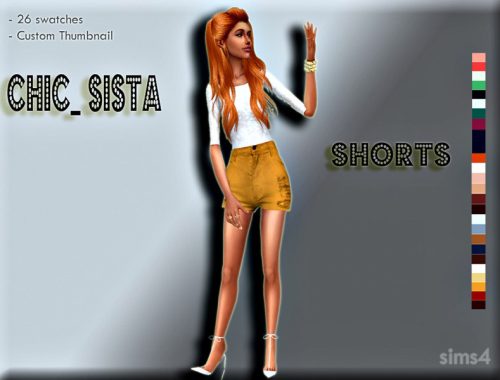 Chic_Sista Shorts - mesh needed