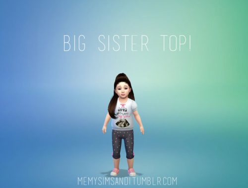 Big Sister Announcement Shirt