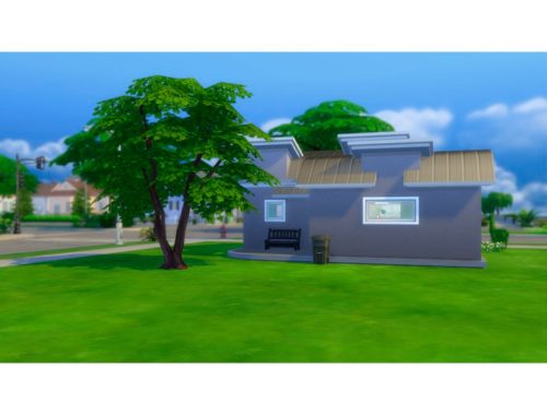 Live and Go - Starter house