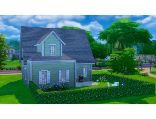 Cottage in the City