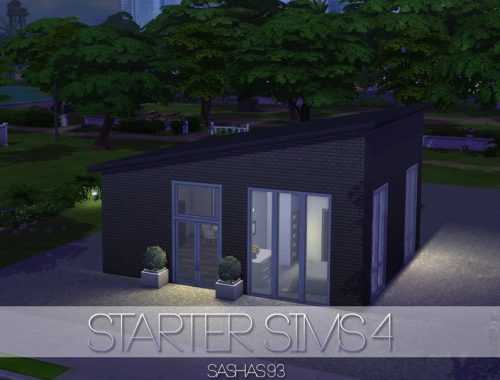 Starter Sims4
