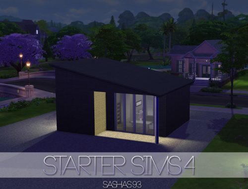 Starter Sims4