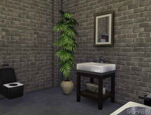 Starter Sims4