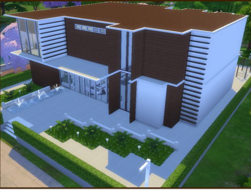 Luxurious Modern