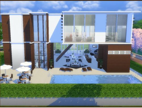 Luxurious Modern