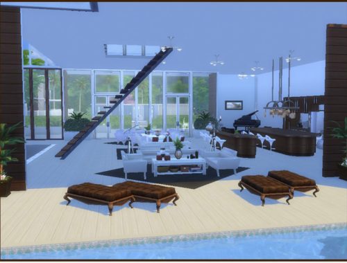 Luxurious Modern