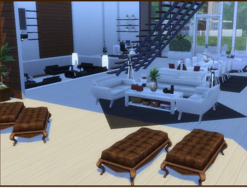 Luxurious Modern
