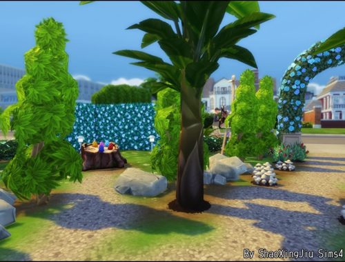 Magic Bean Garden