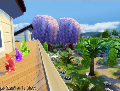 Magic Bean Garden