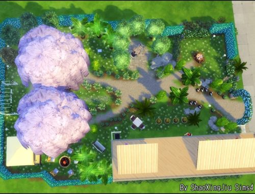 Magic Bean Garden
