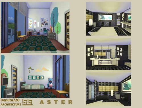 ASTER