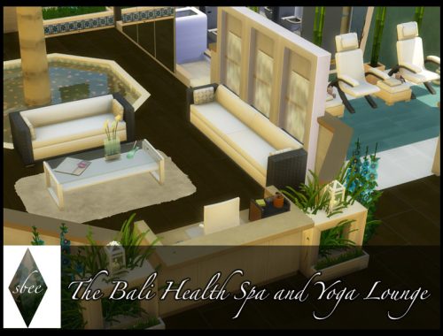 The Bali Health Spa and Yoga Lounge