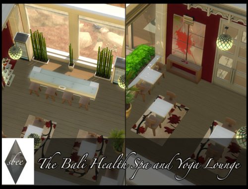 The Bali Health Spa and Yoga Lounge
