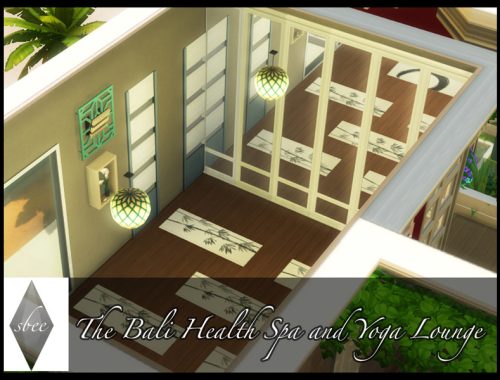 The Bali Health Spa and Yoga Lounge