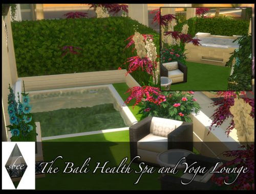 The Bali Health Spa and Yoga Lounge