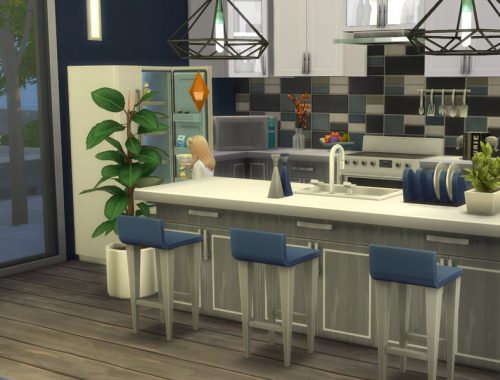 The Triton House
